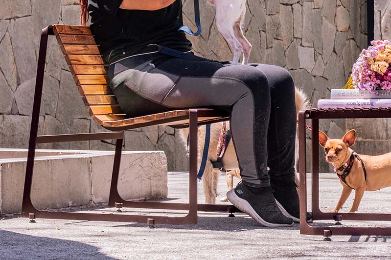 Silla 008 madera 