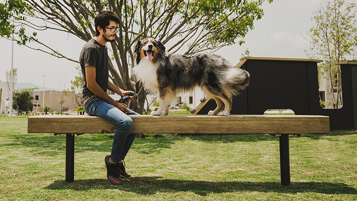 Asiento Parque Perros 001